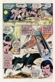Tarzan Family 64-19.jpg